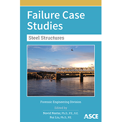 Failure Case Studies: Steel Structures