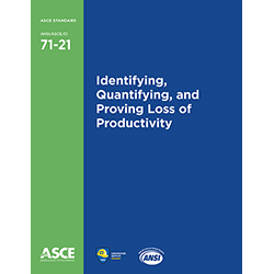 Identifying, Quantifying, and Proving Loss of Productivity (71-21)
